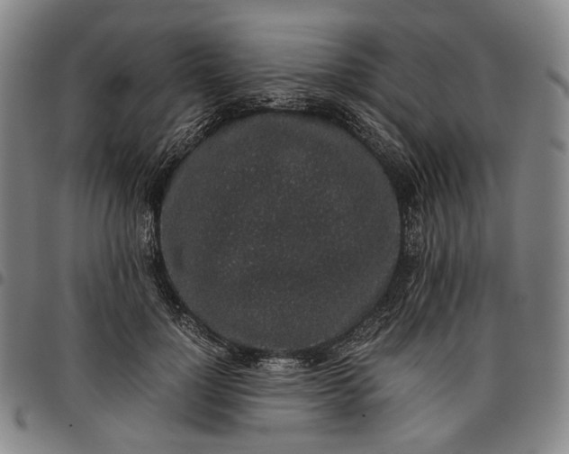 X0000096650748200802191242