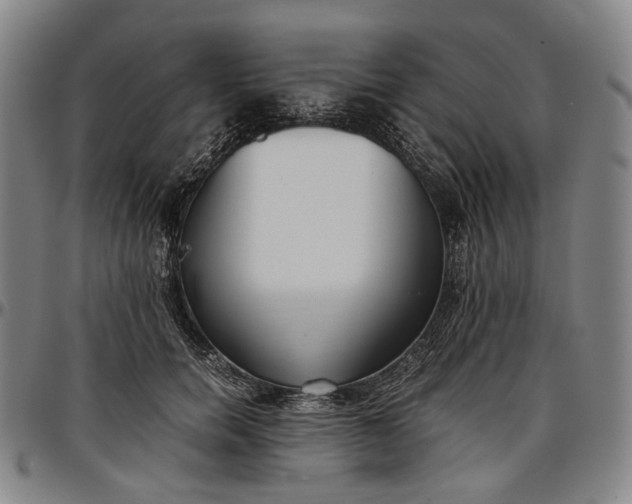 X0000096650750200802191242