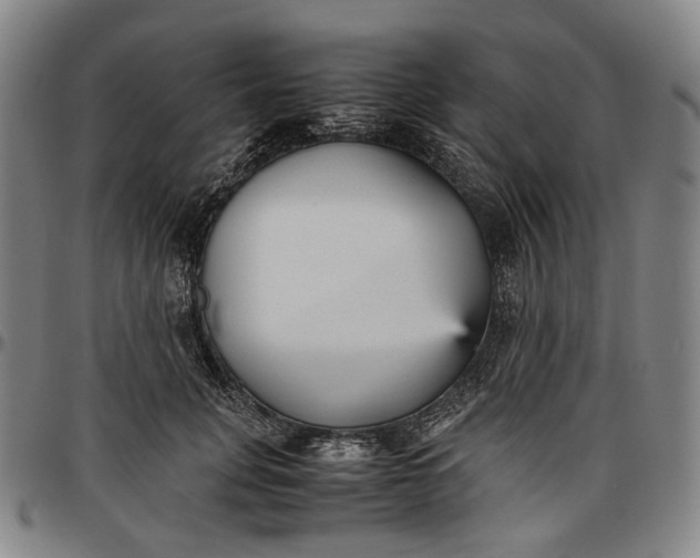 X0000096650751200802191242