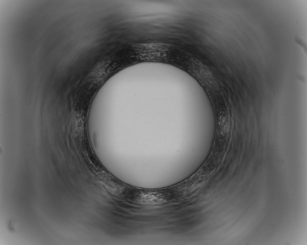 X0000096650753200802191242