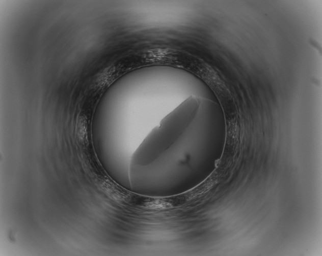 X0000096650754200802191242