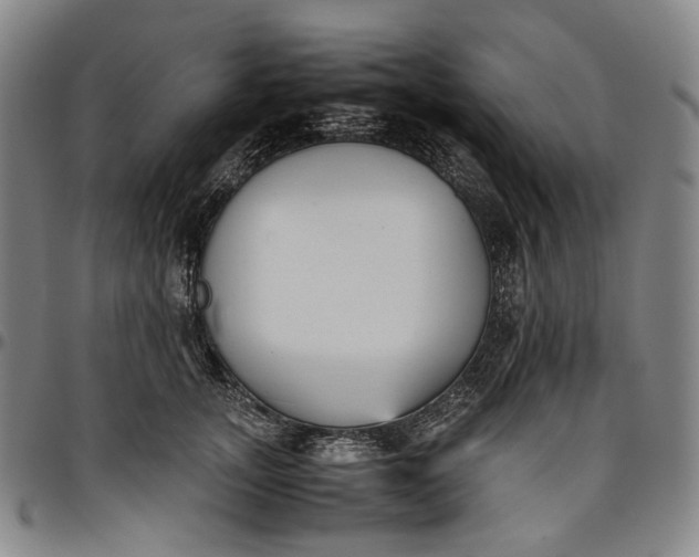 X0000096650755200802191242