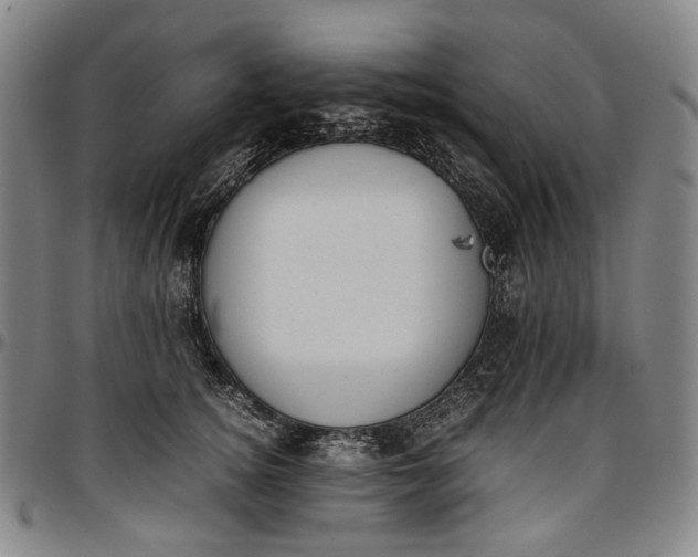 X0000096650756200802191242