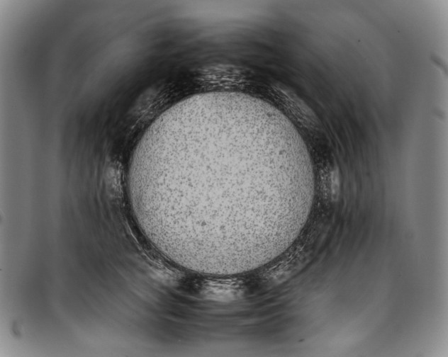 X0000096650757200802191242