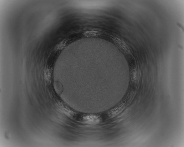 X0000096650759200802191242