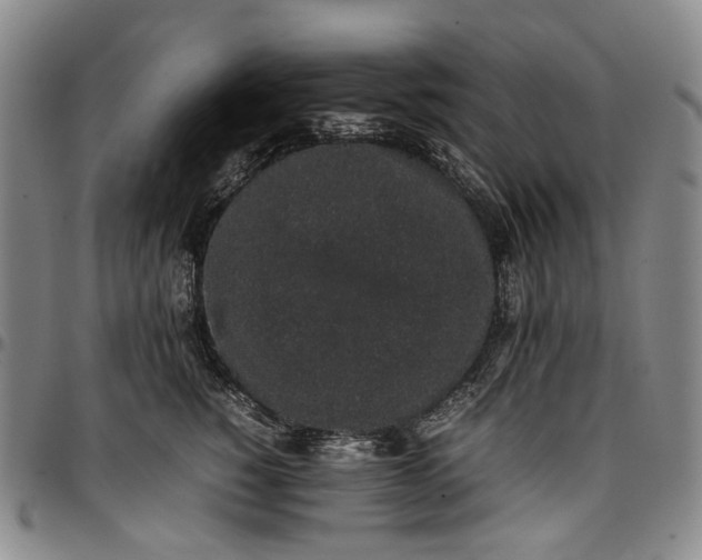 X0000096650760200802191242