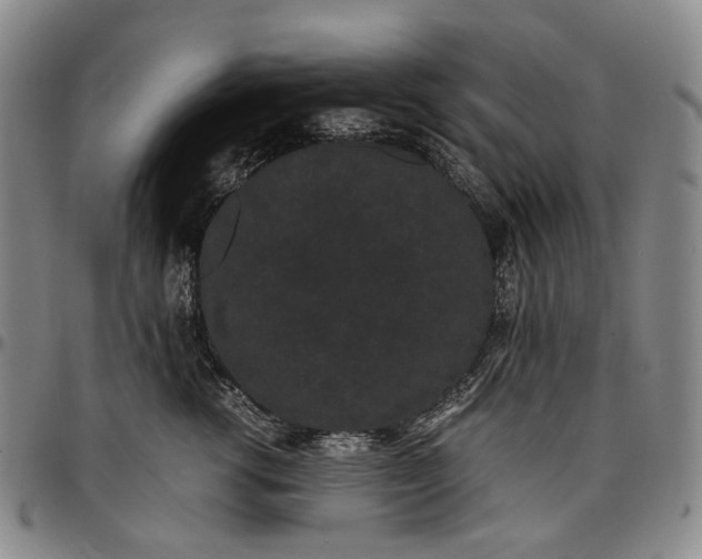 X0000096650762200802191242