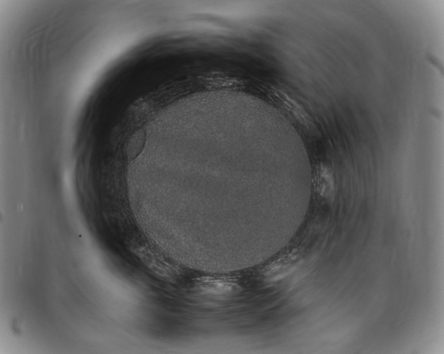 X0000096650763200802191242