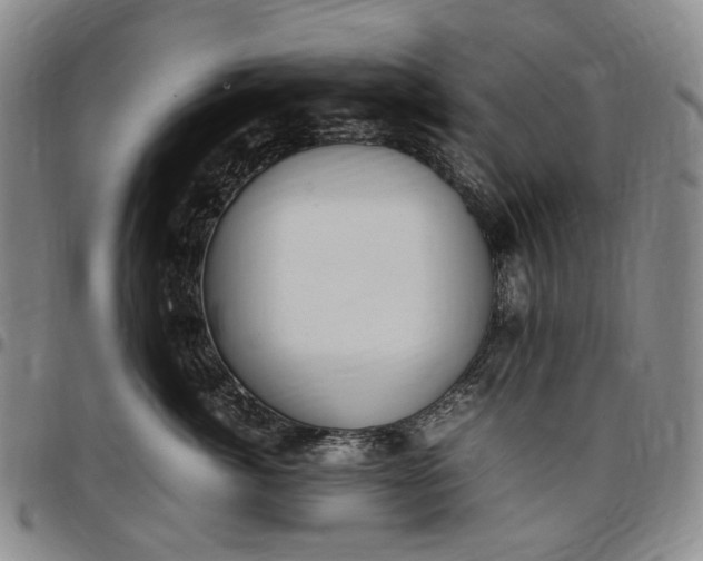X0000096650764200802191242