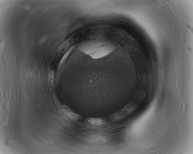 X0000096650767200802191243