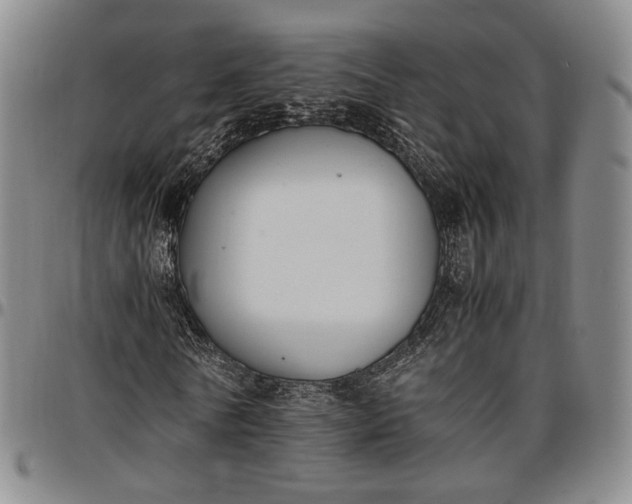 X0000096650770200802191242