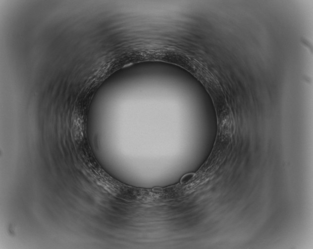 X0000096650772200802191242