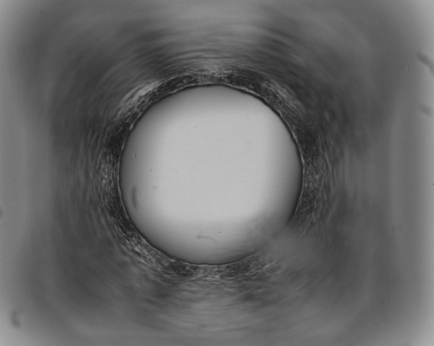 X0000096650773200802191242