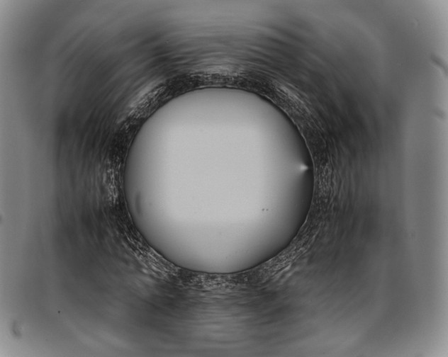 X0000096650774200802191242