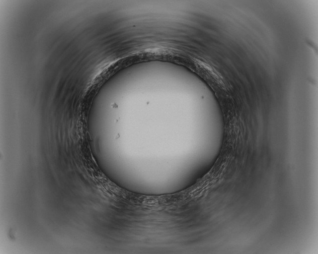 X0000096650776200802191242