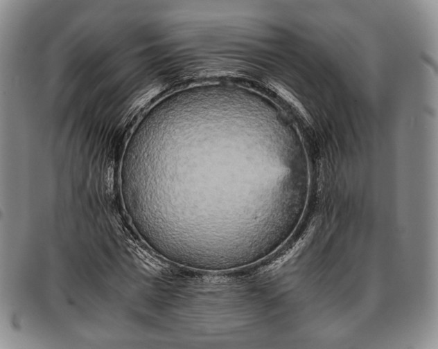 X0000096650777200802191242