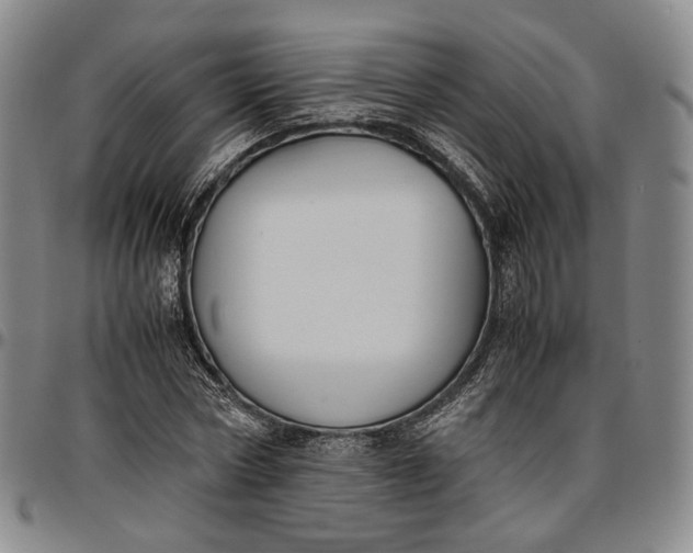 X0000096650778200802191242