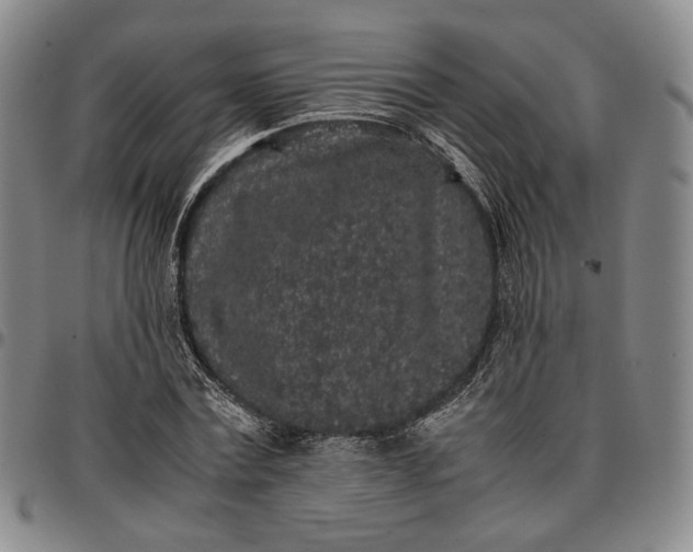 X0000096650779200802191242