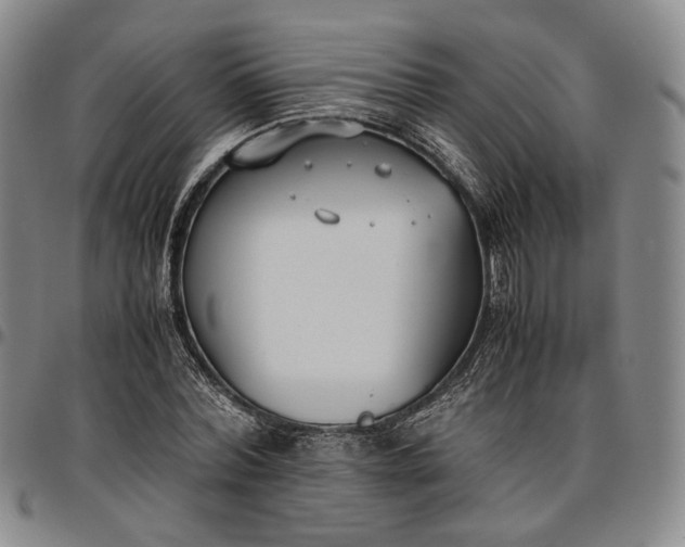 X0000096650780200802191242