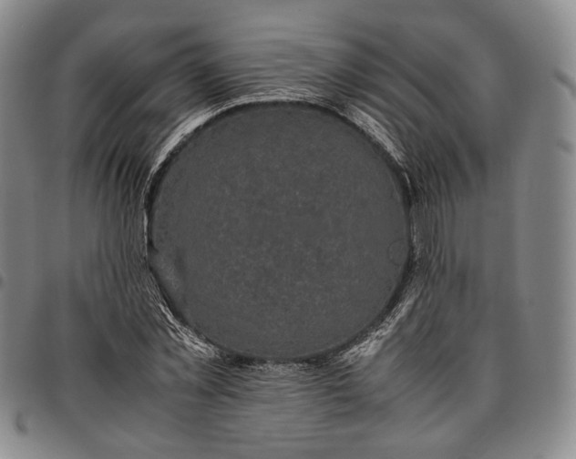 X0000096650781200802191242