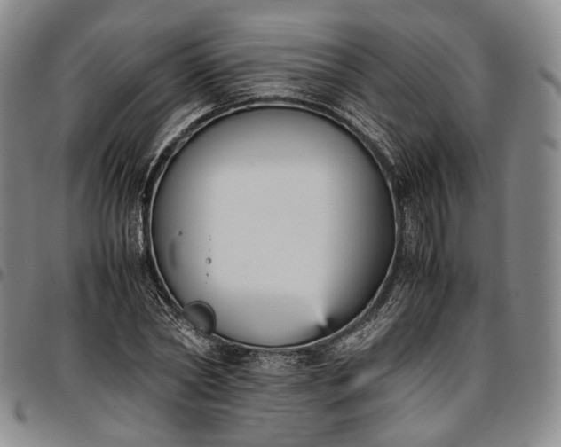 X0000096650782200802191242