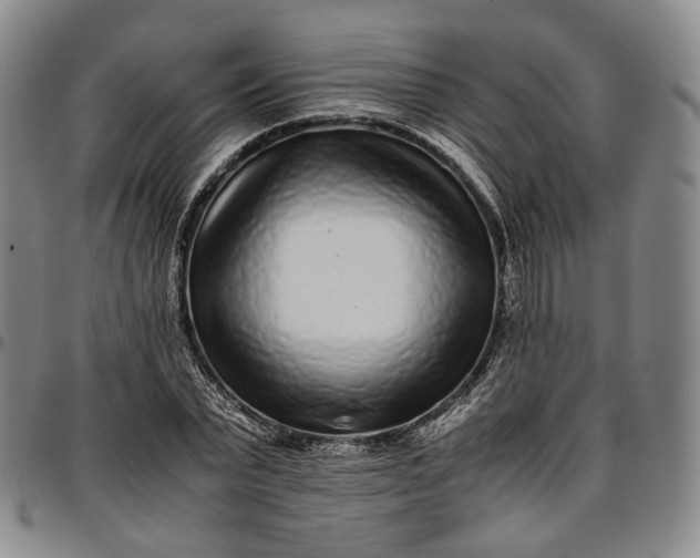 X0000096650783200802191242