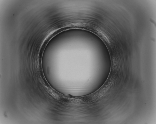 X0000096650784200802191242