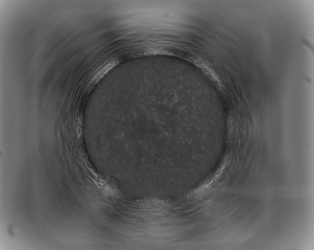 X0000096650785200802191241