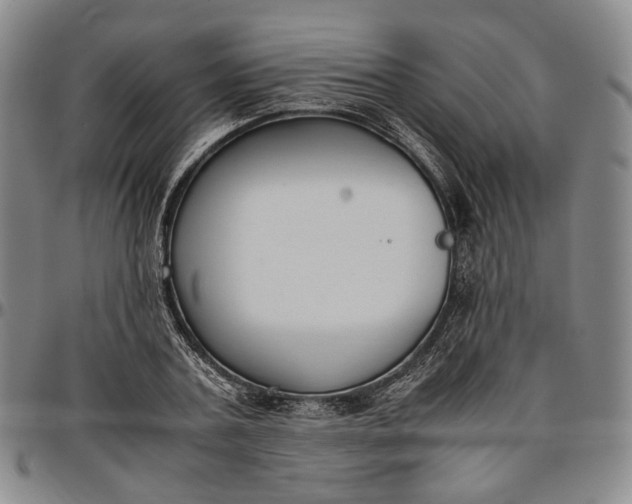 X0000096650787200802191241