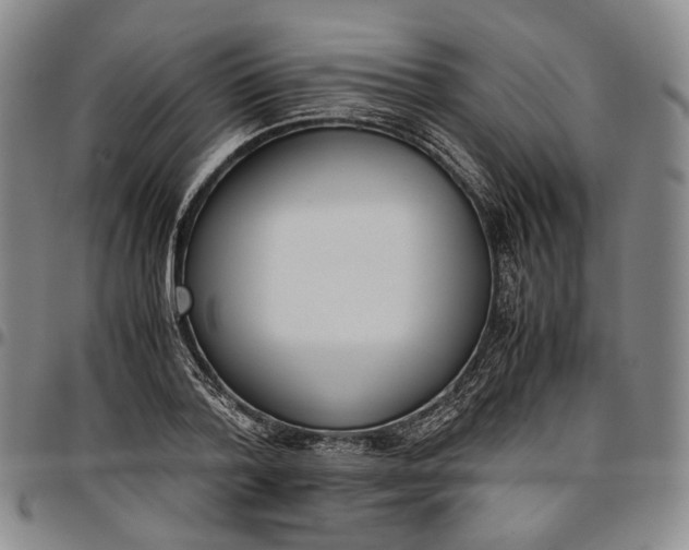 X0000096650788200802191241