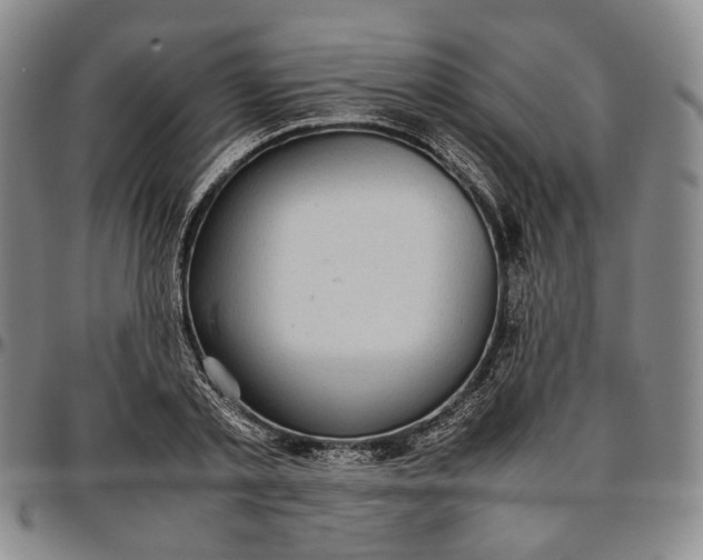 X0000096650789200802191241