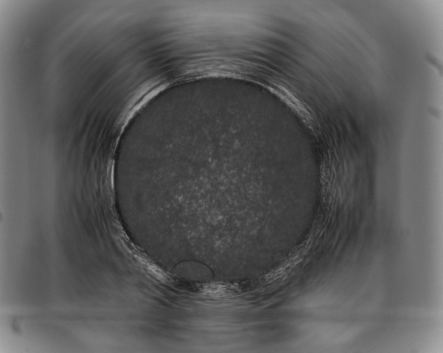 X0000096650790200802191241