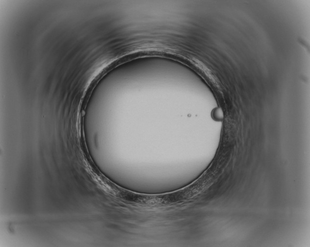X0000096650791200802191241