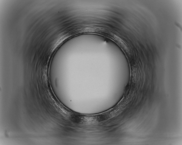 X0000096650794200802191241