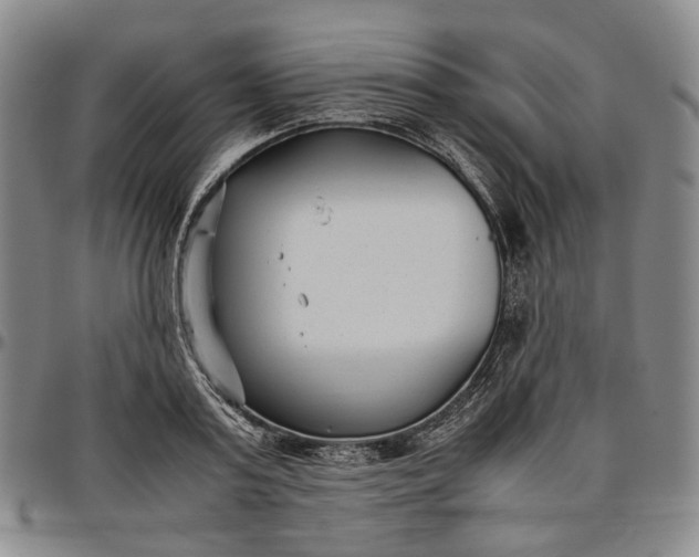X0000096650795200802191241