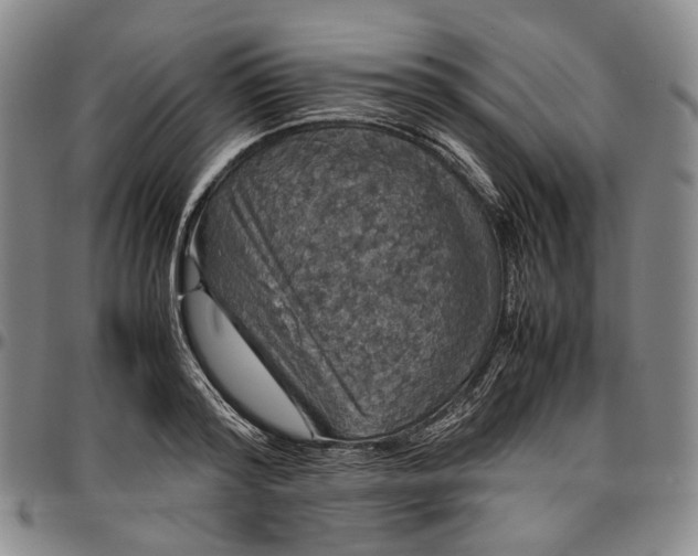 X0000096650796200802191241