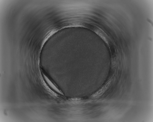 X0000096650797200802191241