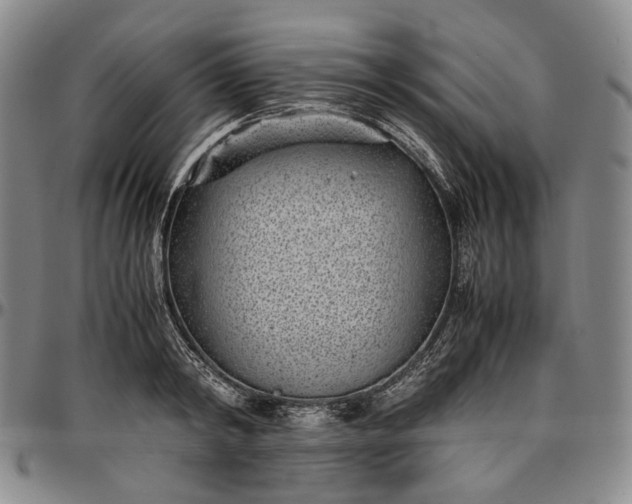 X0000096650798200802191241