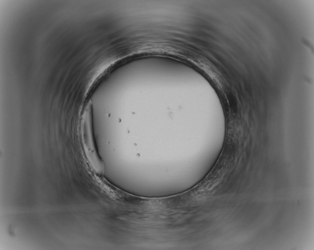 X0000096650799200802191241