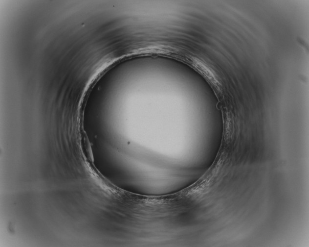 X0000096650800200802191241