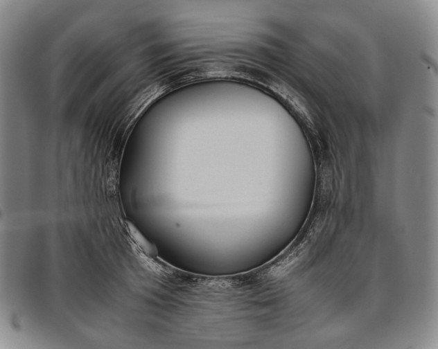 X0000096650801200802191241