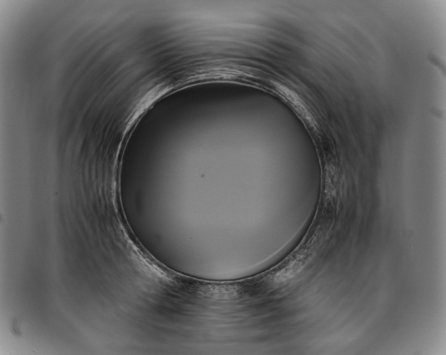 X0000096650802200802191241