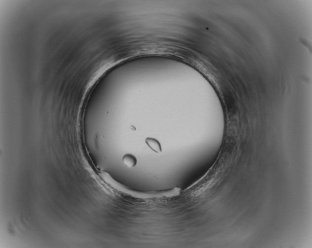 X0000096650803200802191241