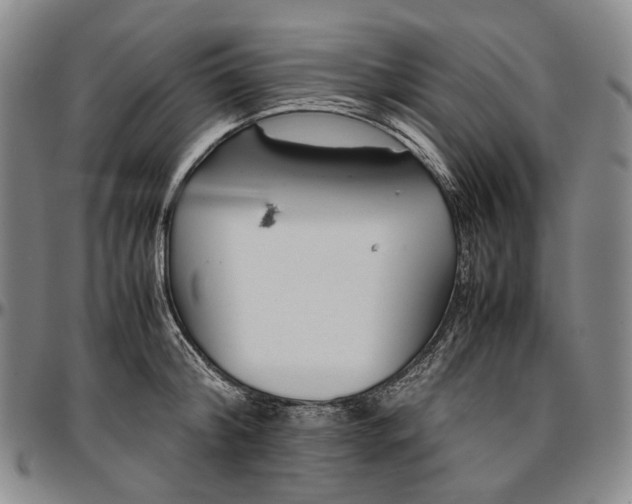 X0000096650804200802191241