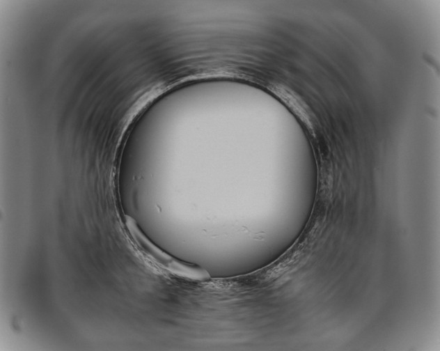X0000096650805200802191241