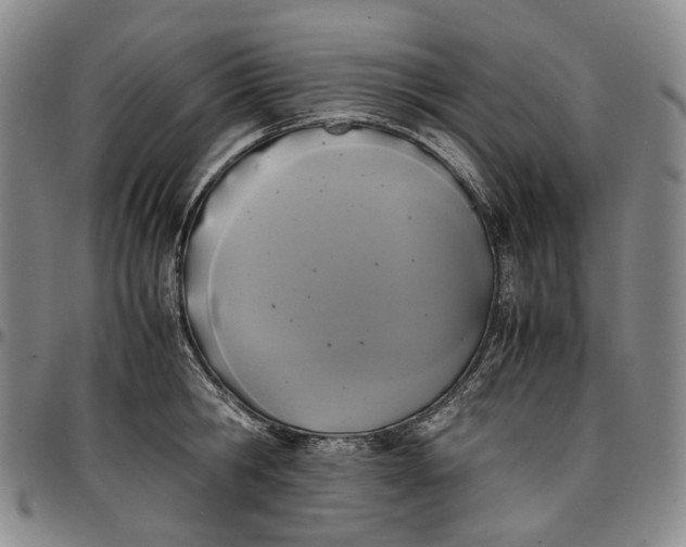 X0000096650806200802191241
