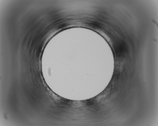 X0000096650807200802191241