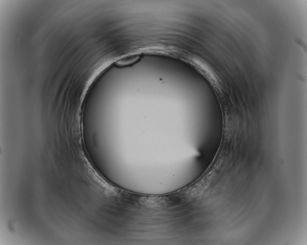 X0000096650808200802191241
