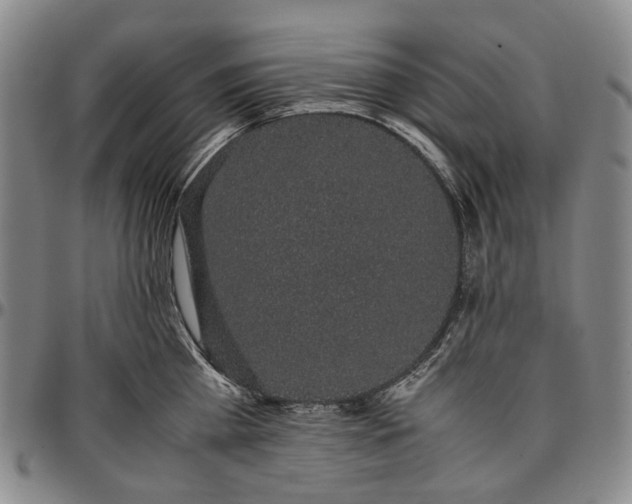 X0000096650809200802191241