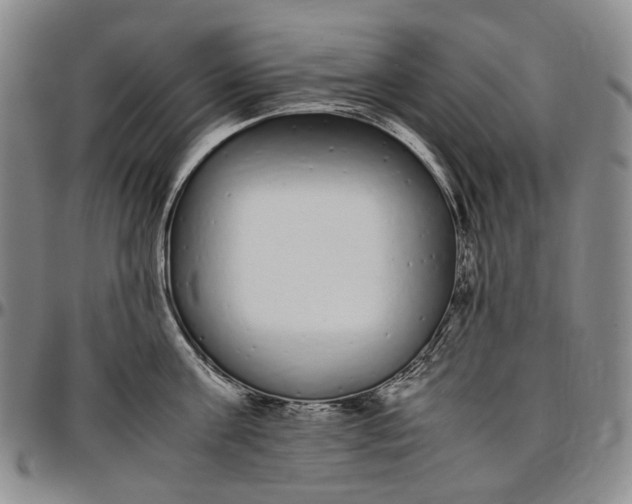 X0000096650811200802191241